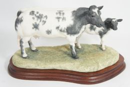 Border Fine Arts Figure Belgian Bue cow and calf B0590 NO 987/1250 20cm in height