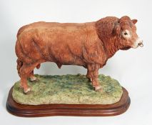 Border Fine Arts Figure Limousin Bull NO 362/750 B0531 25cm in height