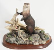 Border Fine Arts Figure Large Otter on hind feet NO 807/1250 30cm in height