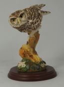 Border Fine Arts Figure Little Owl 541797 20cm in height