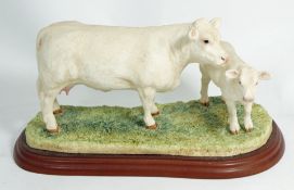 Border Fine Arts Figure Charolais Cow and Calf  A12489 18cm in height