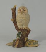 Border Fine Arts Figure Owl peeking 10cm in height