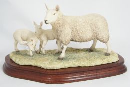 Border Fine Arts Figure Sheep and lambs NO 107/950 15cm in height
