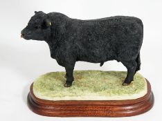 Border Fine Arts Figure Welsh Bull NO 241/500 B0999 16cm in height