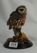 Country Artists model of Little Owl CA398 on wood base