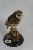 Country Artists model of Little Owl CA398 on wood base