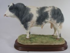 Border Fine Arts Figure Belgian Blue Bull B0833 Limited edtion NO 150 of 500 22cm in height
