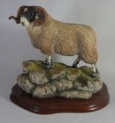 Border Fine Arts Figure Blackie Tup Ewe on hilltop B0354 Limited edition NO 822 of 1750 23cm in