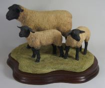 Border Fine Arts Figure Suffolk Ewe and Lambs B0778 Limited edition NO 215 of 1250 19cm in height
