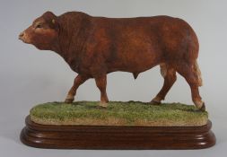 Border Fine Arts Figure Limousin Bull B1013 Limited Edition NO 317 of 750 17cm in height