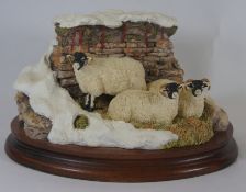 Border Fine Arts Figure Winter Shelter- Sheep hiding from the snow B0203 Limited edition NO 881 of