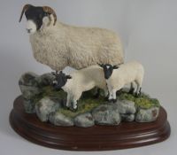 Border Fine Arts Figure Blackie Ewes and Lambs B0887 Limited edition NO 339 of 1250 17cm in height