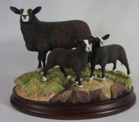 Border Fine Arts Figure Zwartble Ewe and lambs B12334 Limited edition NO 162 of 350 17cm in height