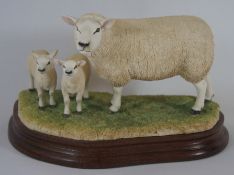 Border Fine Arts Figure Texel Ewe and Lambs B1054 Limited edition NO 112 of 500 15cm in height