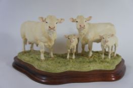 Border Fine Arts Figure Charolais Family Group Bull, cow and calf B0184 Limited edition NO 871 of