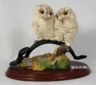 Border Fine Arts Figure - Double Tawny Owlets from Birds series by Russell Willis (boxed)