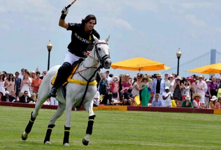 The Val de Vie Lot       - A VIP private box at the Veuve Cliquot Masters Polo 2015 for eight