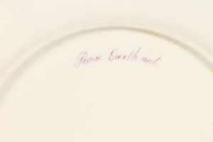 Nineteenth century botanical plate, probably Coalport, with gilt line border, titled on reverse - - Image 8 of 8