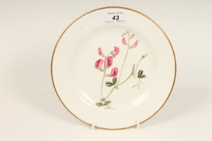 Nineteenth century botanical plate, probably Coalport, with gilt line border, titled on reverse -