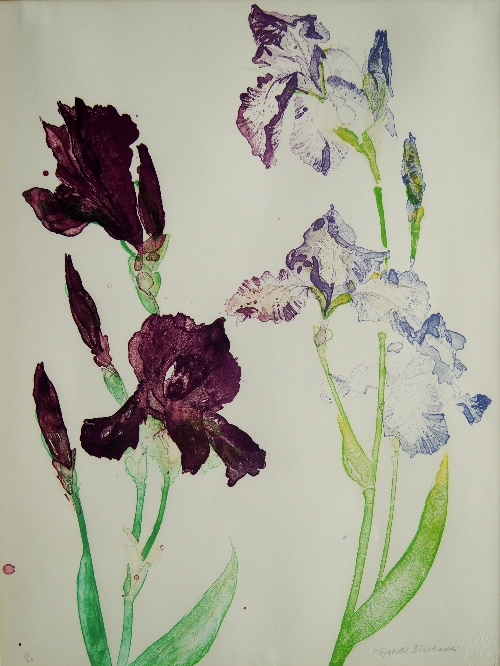 Dame Elizabeth Blackadder, OBE RA RSA RSW RGI DLitt, Scottish b.1931- "Irises" (Allan47); lithograph