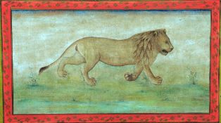 An Indian pencil and watercolour of a lion, possibly 18th century
Naturalistically painted on all