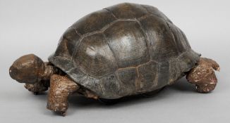 A large and rare 19th century Galapagos Island articulated tortoise
The removable shell enclosing