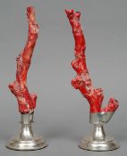 Two pieces of red coral
Mounted on silver plated stepped spreading plinth bases.  Each approximately