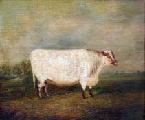 ENGLISH NAIVE SCHOOL (19th century)
Prize Bull in a Landscape
Oil on canvas laid down
40.5 x 34.5