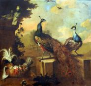 DUTCH SCHOOL (17th/18th century)
Peacocks and Other Fowl in a Garden
Oil on canvas
128 x 121 cms,