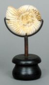 A small fossilised ammonite
Mounted on a turned wooden display stand.  17 cms high.
   CONDITION