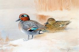 *AR ROLAND GREEN (1896-1972) British
Mandarin Ducks
Watercolour
Signed
27 x 17.5 cms, framed and