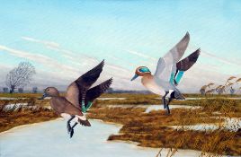 *AR MacKENZIE THORPE (1908-1976) British, (Known as KENZIE THE WILD GOOSE MAN)
Duck in Flight Over