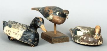 Two carved wooden decoy ducks and a carved wooden decoy pigeon
Each naturalistically painted, the