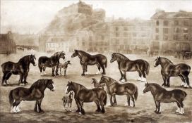 SCOTTISH SCHOOL (19th century) First Prize Clydesdales Print 70.5 x 52 cms, framed and glazed