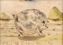 ENGLISH NAIVE SCHOOL (19th/20th century) Prize Hog Watercolour Titled and indistinctly signed 28.5 x