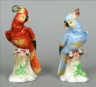 A pair of late 19th century Sitzendorf models of parrots Each formed perching on a tree stump, one