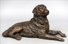 A large bronze model of a labrador Naturalistically modelled in recumbent position. 82 cms wide.