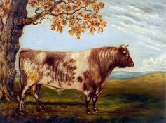 ENGLISH SCHOOL (19th century) Prize Bull in Landscape Oil on board Old label to verso for Charles