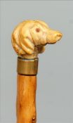 A 19th century walking cane The handle formed as a dogs head with glass inset eyes carved from a