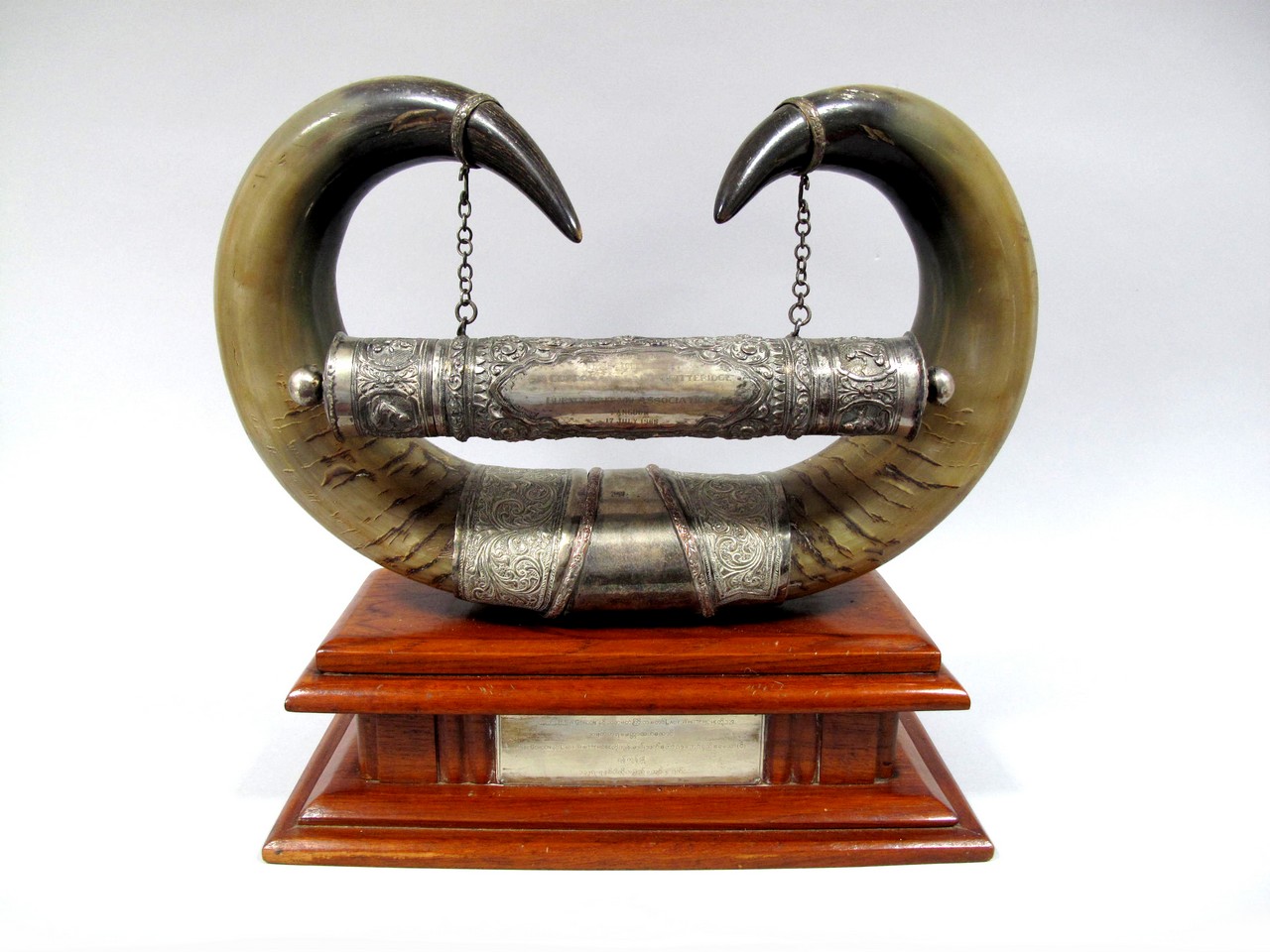 A Plated Mounted Double Horn Presentation Centrepiece, the two horns suspending cylindrical case,