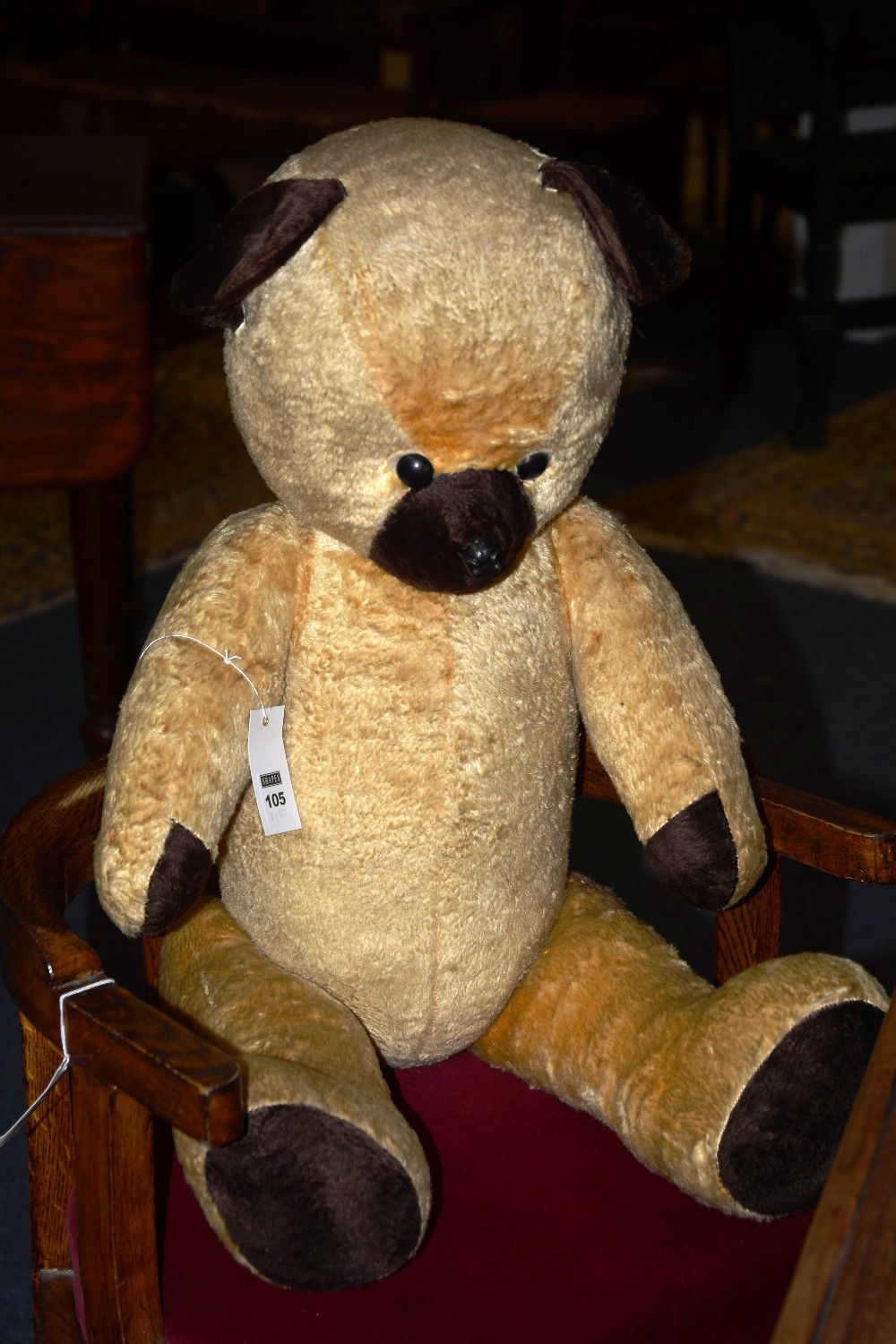 A large teddy bear, with sound box