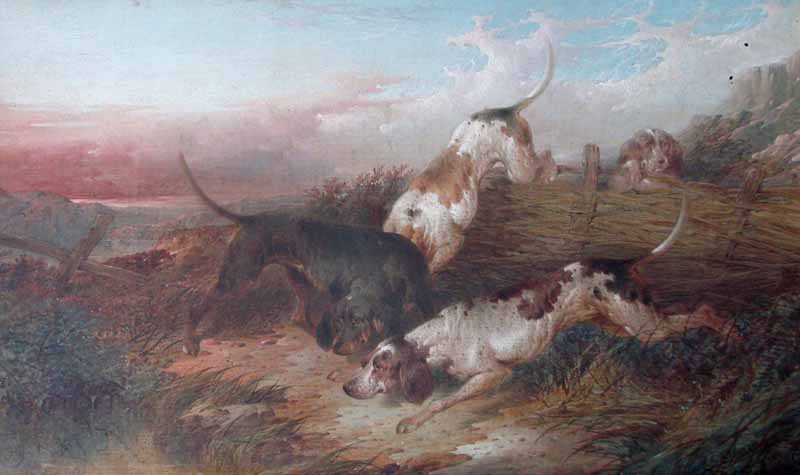 Paul Jones (fl 1855-1888) Hounds following a Scent, oil on canvas signed P. Jones, dated 1871 and
