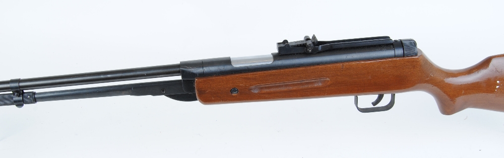 .22 Chinese, under lever air rifle