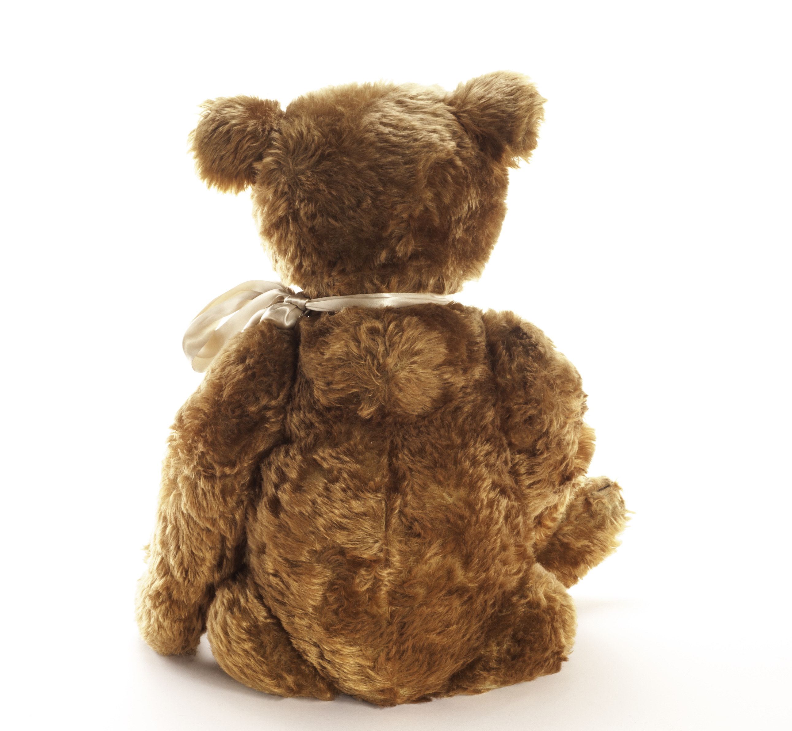 A large and rare Steiff cinnamon mohair Teddy Bear, circa 1908, with boot button eyes, pronounced - Image 3 of 5