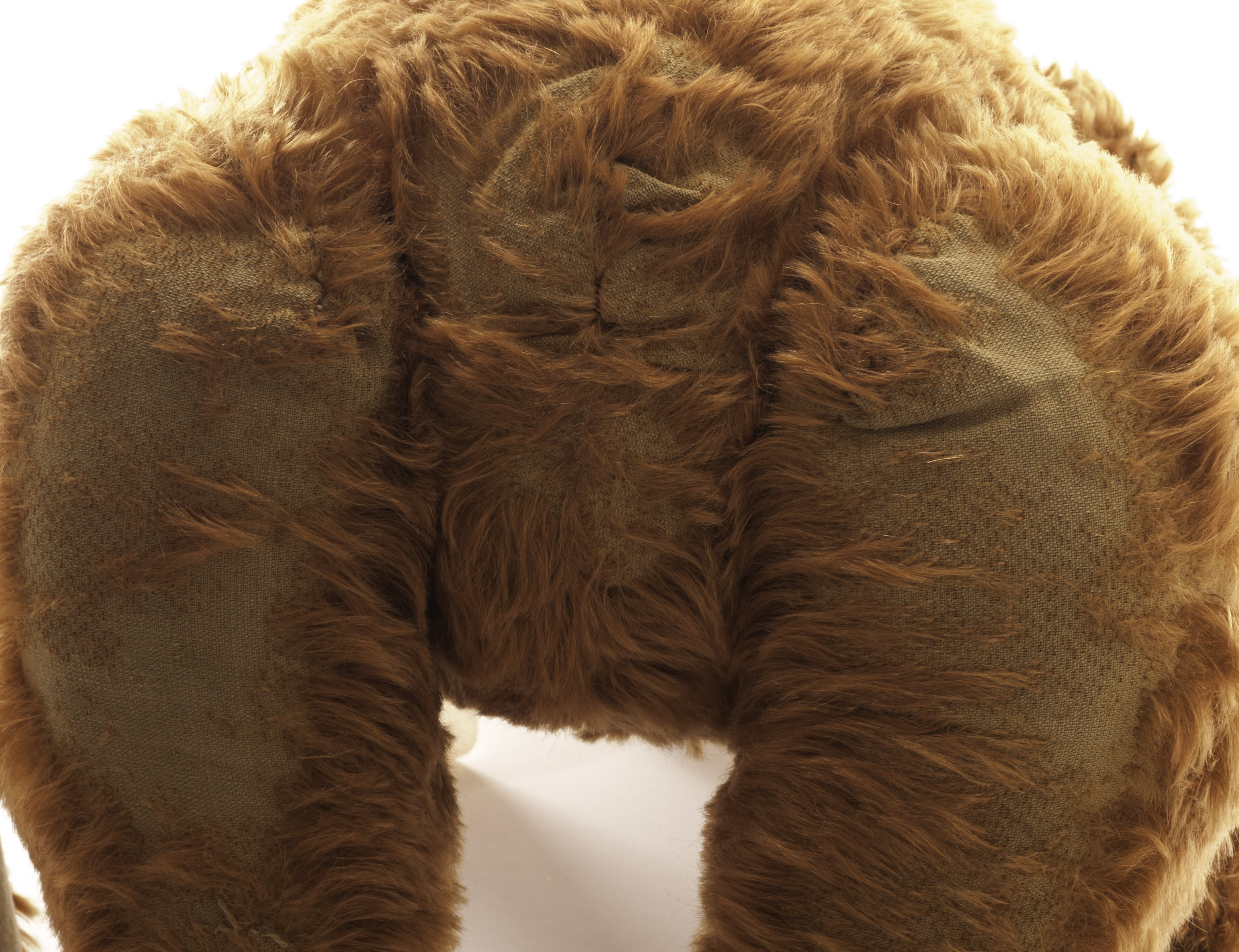 A large and rare Steiff cinnamon mohair Teddy Bear, circa 1908, with boot button eyes, pronounced - Image 5 of 5