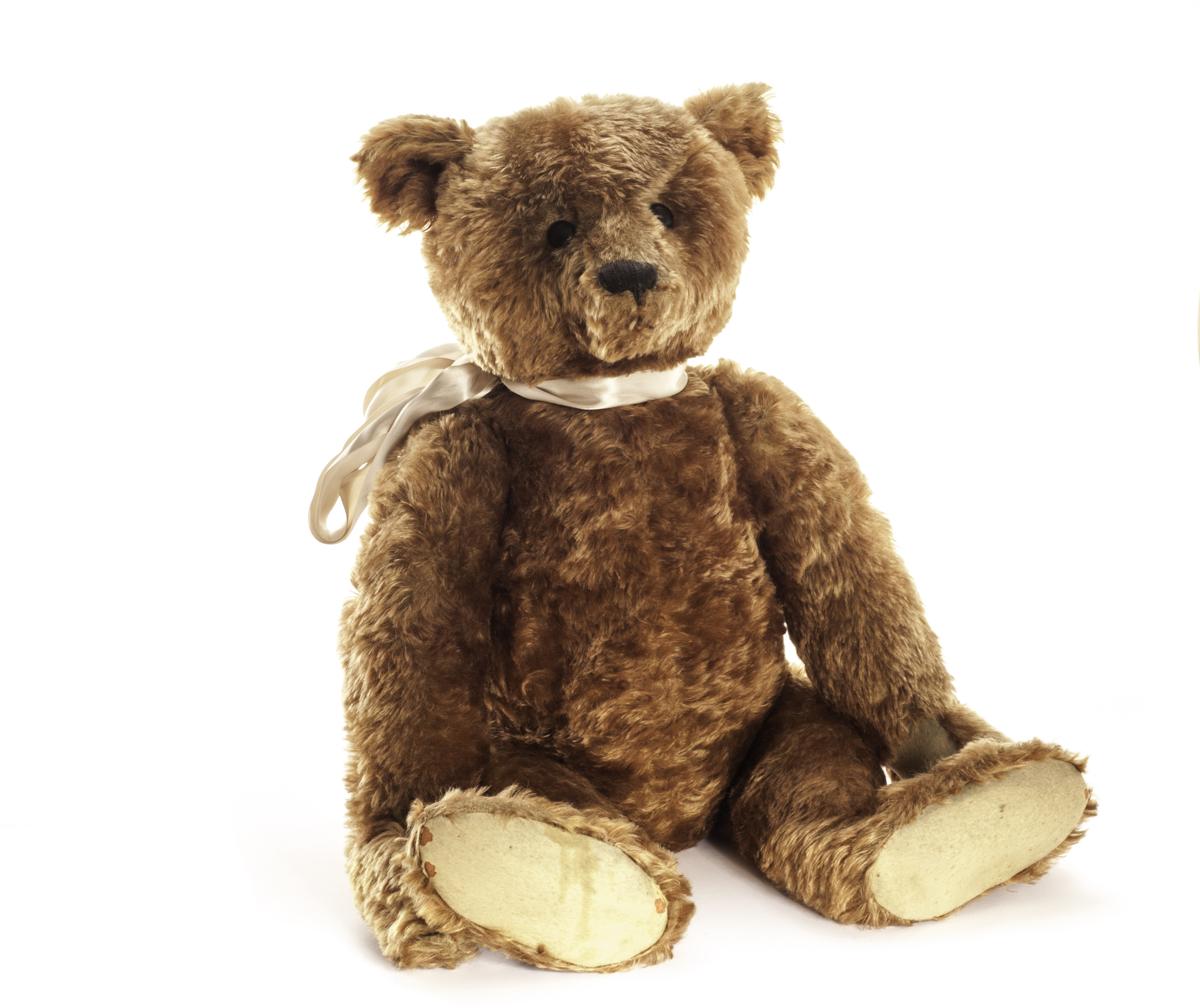 A large and rare Steiff cinnamon mohair Teddy Bear, circa 1908, with boot button eyes, pronounced