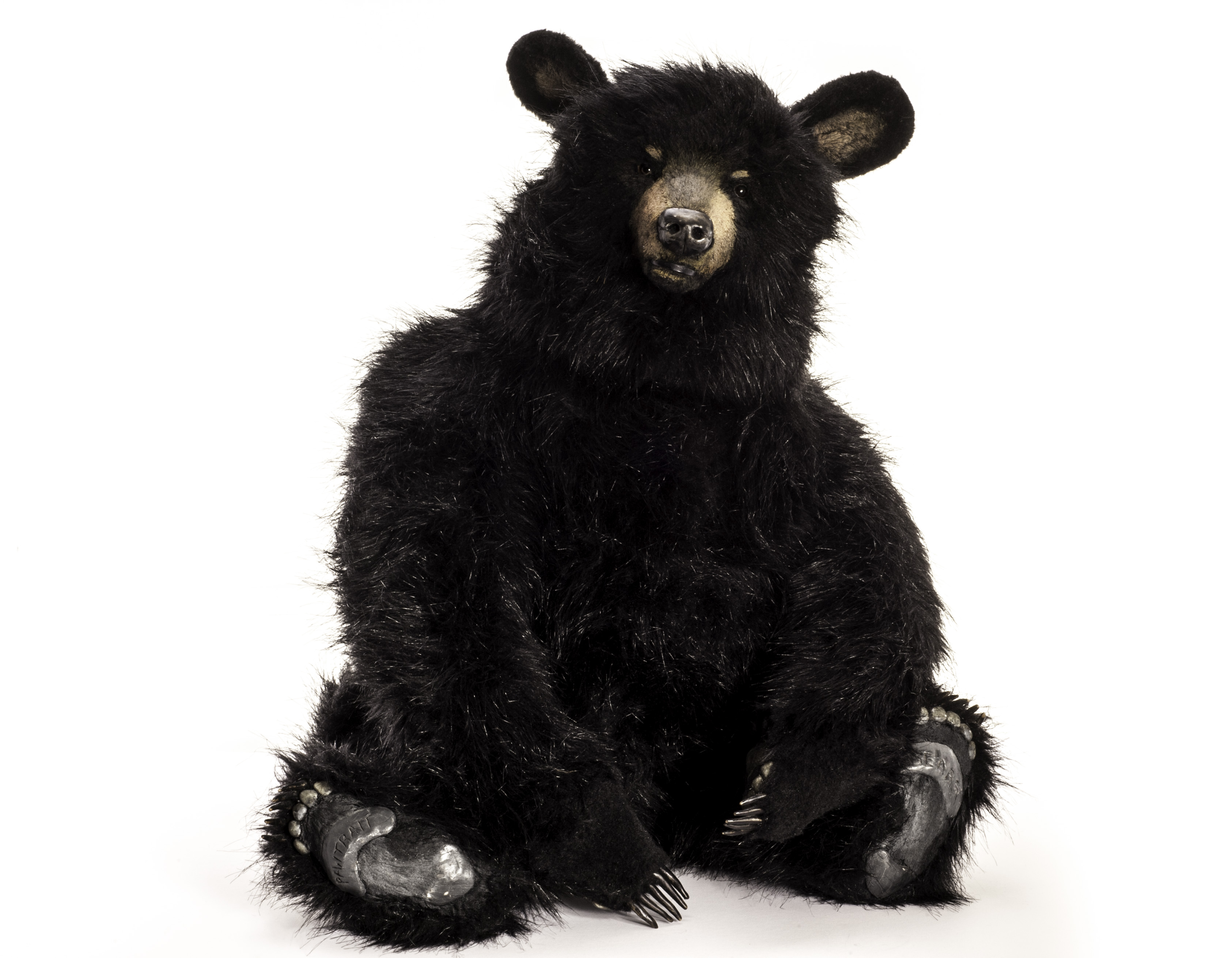 A black bear by Brigitte Smith of Pawtrait Bears, with long synthetic black plush, eight-way