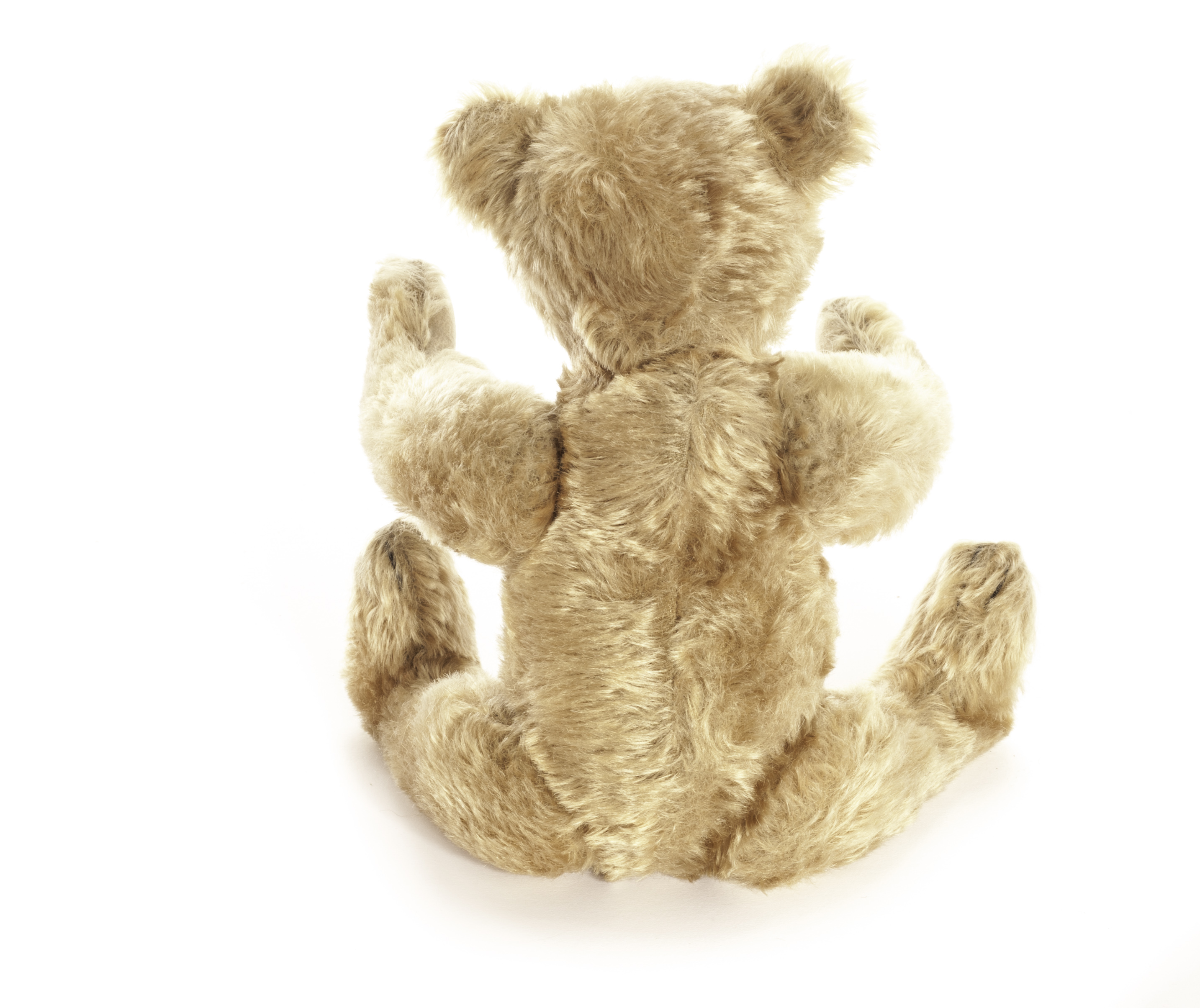 A Steiff Teddy Bear, circa 1908, with golden mohair, black boot button eyes, pronounced clipped - Image 3 of 4