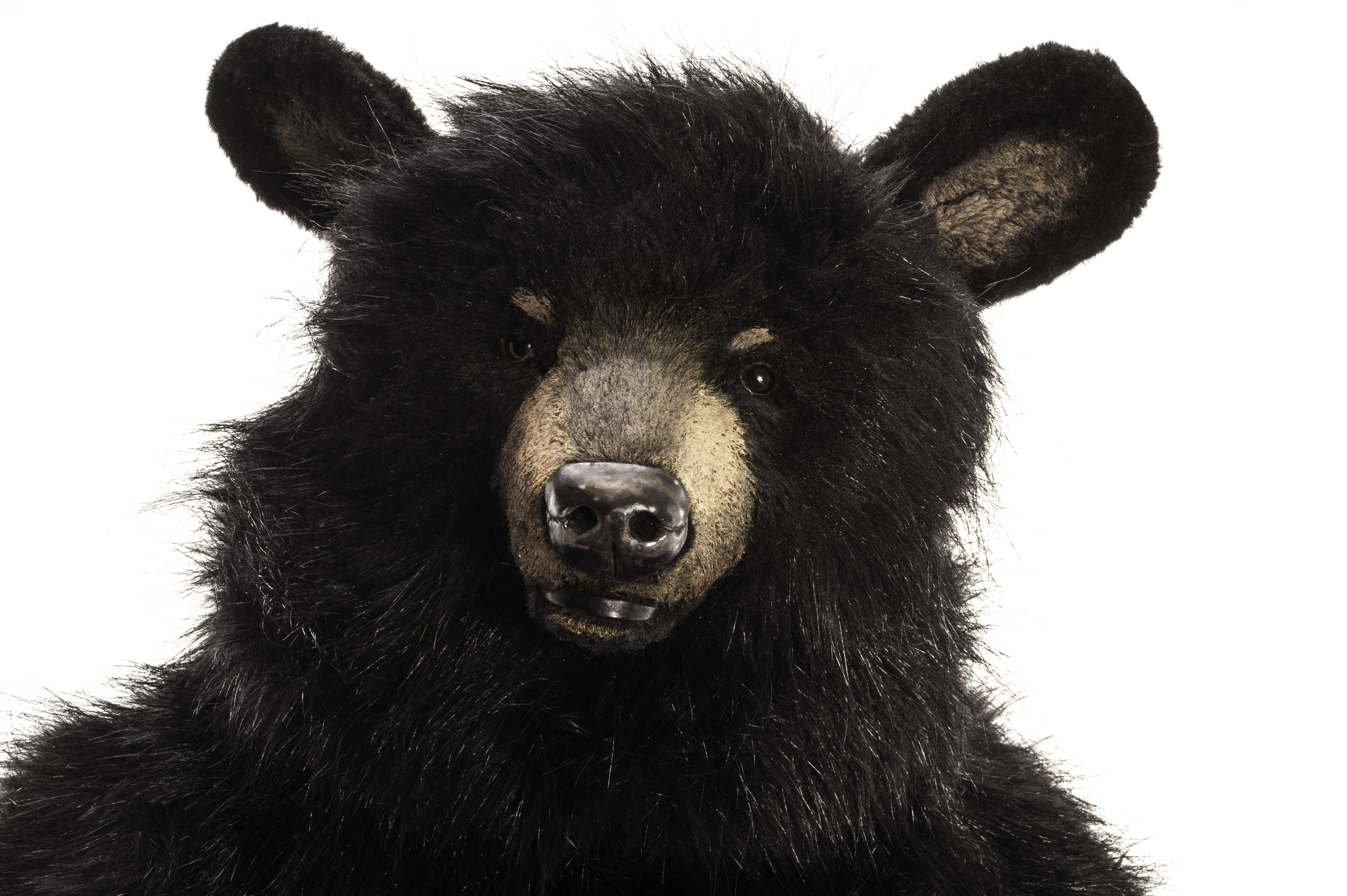 A black bear by Brigitte Smith of Pawtrait Bears, with long synthetic black plush, eight-way - Image 2 of 3