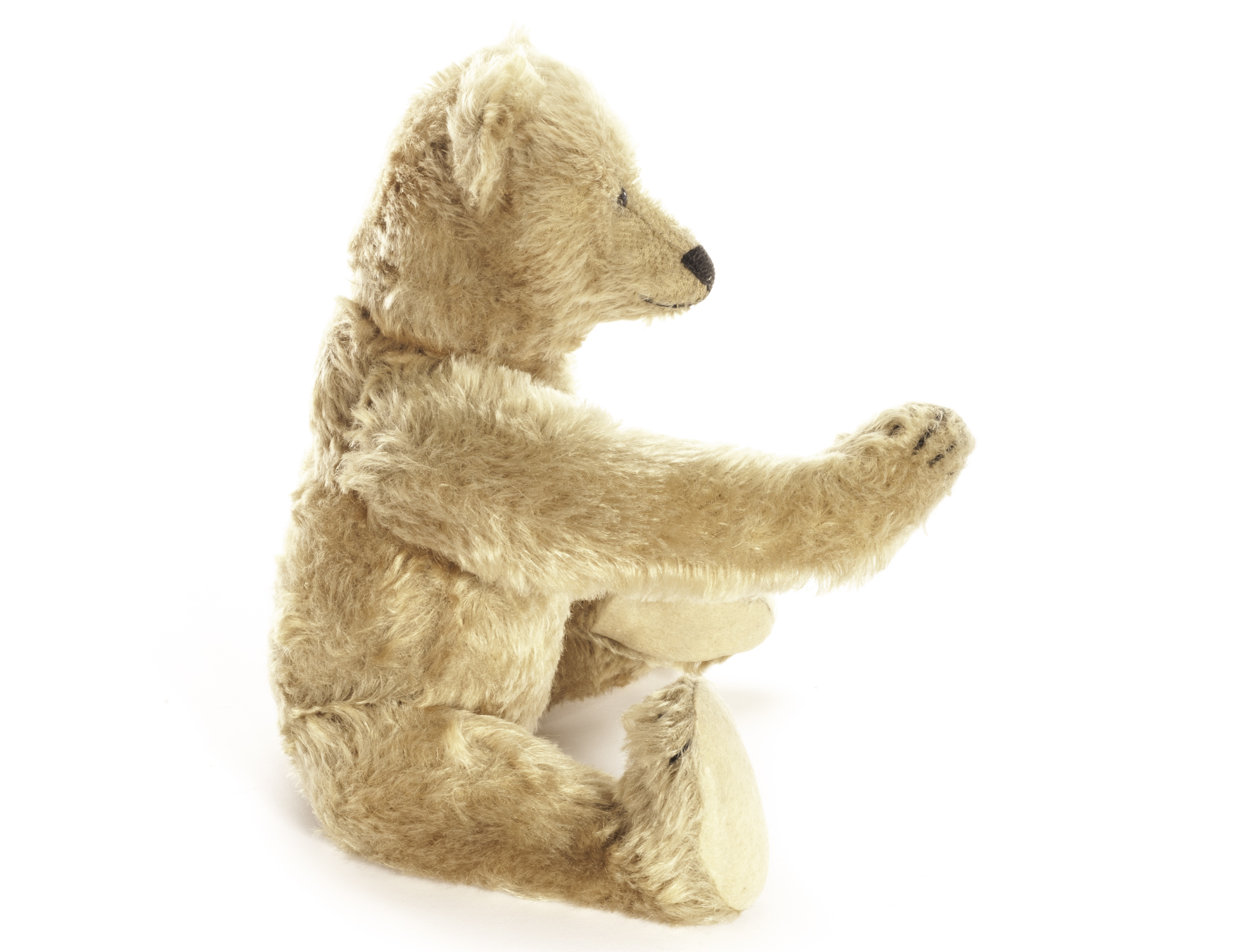 A Steiff Teddy Bear, circa 1908, with golden mohair, black boot button eyes, pronounced clipped - Image 2 of 4